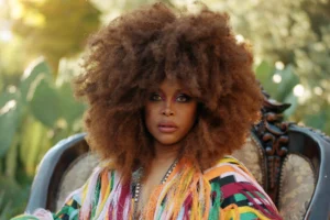 Read more about the article Erykah Badu On Board To Exec Produce Tribeca-Bound Hip Hop Documentary ‘The DOC’