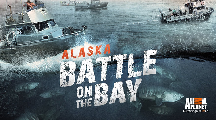 You are currently viewing Alaska: Battle on the Bay